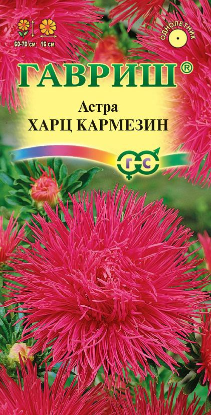 Семена. Астра «Харц Кармезин», тонкоигольчая темно-красная, 0,3 г | Астры | Гавриш