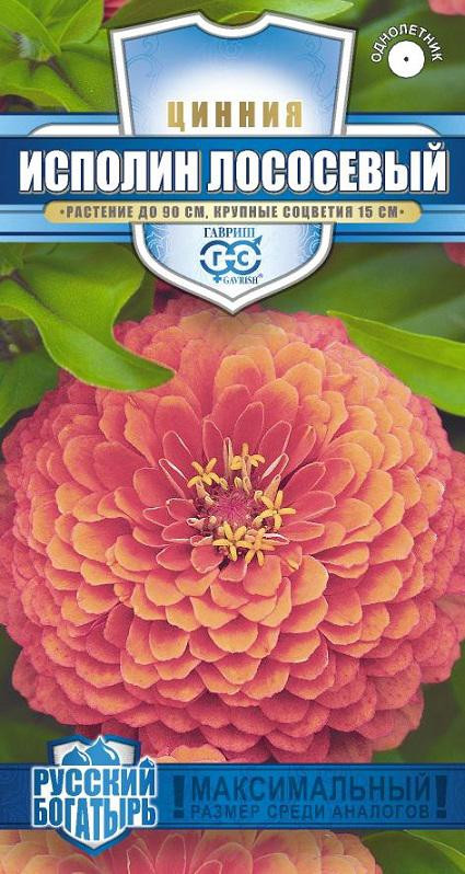 Семена. Цинния «Исполин лососевый», 0,3 г | Русский богатырь | Гавриш