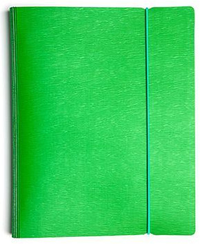 Тетрадь в клетку «Wood Зелёная» (на четырех кольцах) | Wood | Hatber