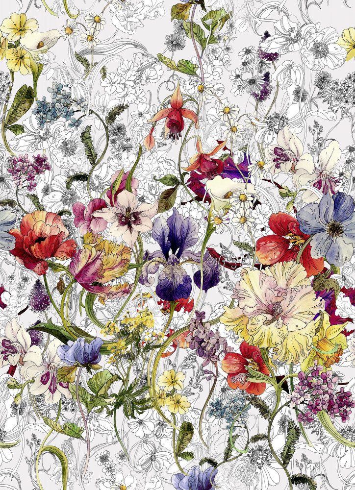 Фотообои «Flora» (184 х 254 см) | Цветы | Komar