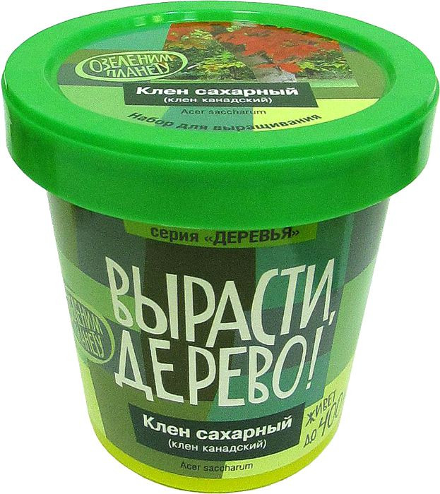 Набор для выращивания «Клен сахарный» | Вырасти, дерево! | Зеленый Капитал