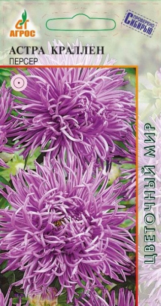 Семена. Астра Краллен «Персер» 0,3 г | Цветочный мир | Агрос