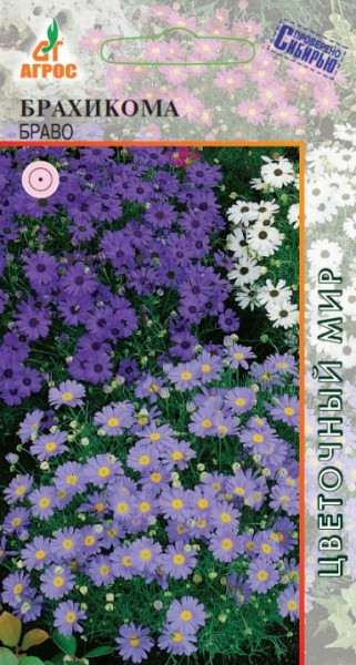 Семена. Брахикома «Браво» 0,1 г | Цветочный мир | Агрос