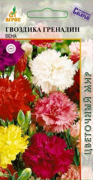 Семена. Гвоздика Гренадин «Вена» 0,2 г | Цветочный мир | Агрос