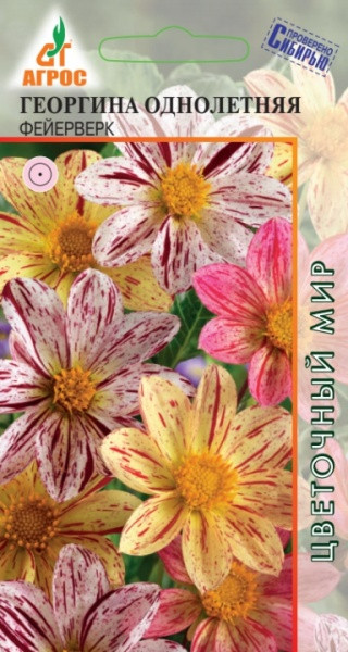 Семена. Георгина однолетняя «Фейерверк» 0,1 г | Цветочный мир | Агрос