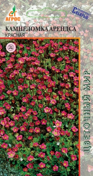 Семена. Камнеломка Арендса «Красная» 20 шт | Цветочный мир | Агрос