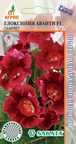 Семена. Глоксиния Аванти F1 «Скарлет» 8 шт | Sakata | Агрос