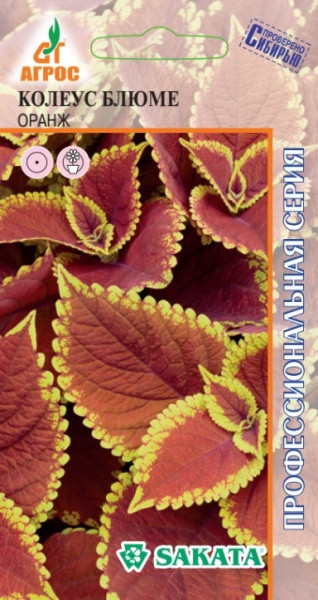 Семена. Колеус Блюме «Оранж» 10 шт | Sakata | Агрос