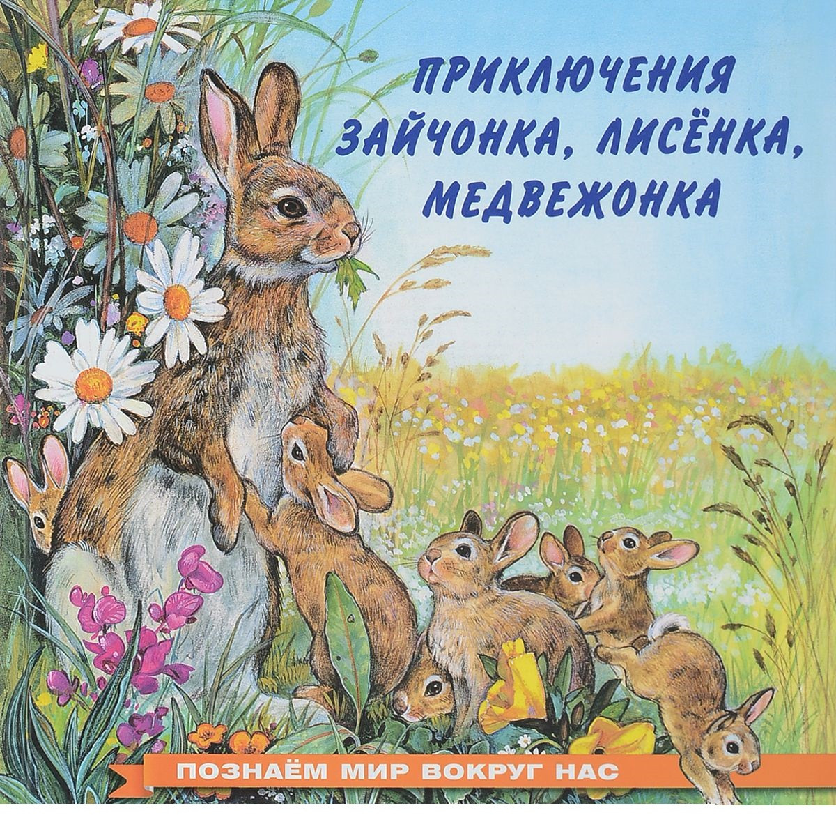 Приключения зайчонка, лисёнка, медвежонка | Познаем мир вокруг нас