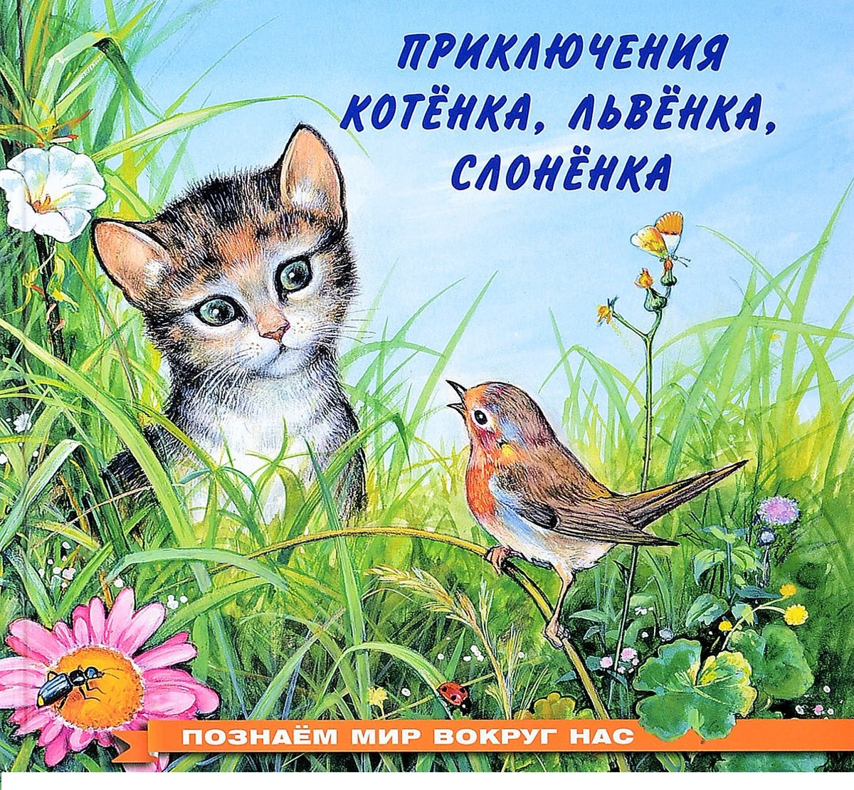 Приключения котёнка, львёнка, слонёнка | Познаем мир вокруг нас