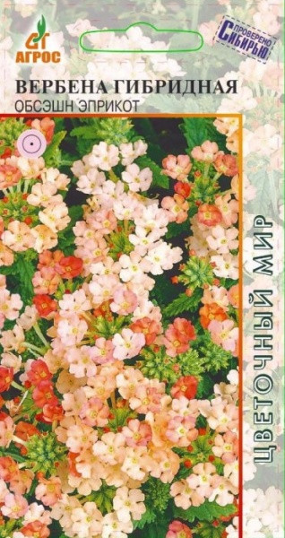 Семена. Вербена «Обсэшн Эприкот» 10 шт | Цветочный мир | Агрос