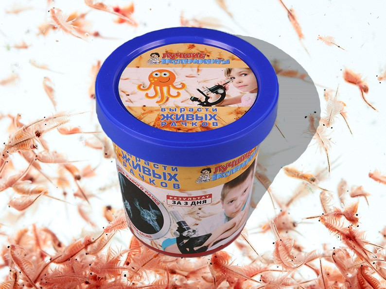 Набор для опытов «Вырасти живого рачка» | Лучшие эксперименты | Научные технологии