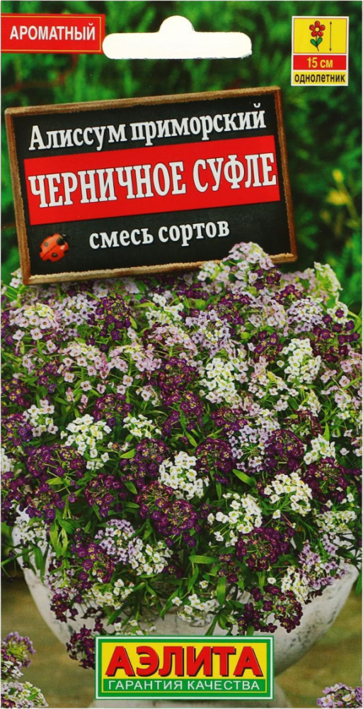 Семена. Алиссум «Черничное суфле» (смесь) 0,1 г | Однолетние цветы (Аэлита) | Аэлита