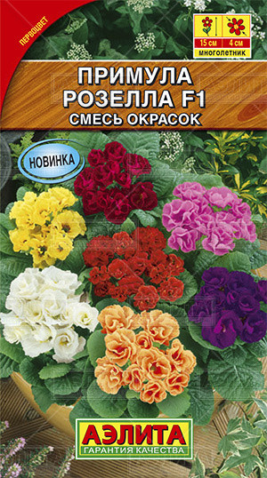 Семена. Примула «Розелла F1» (смесь), 7 шт