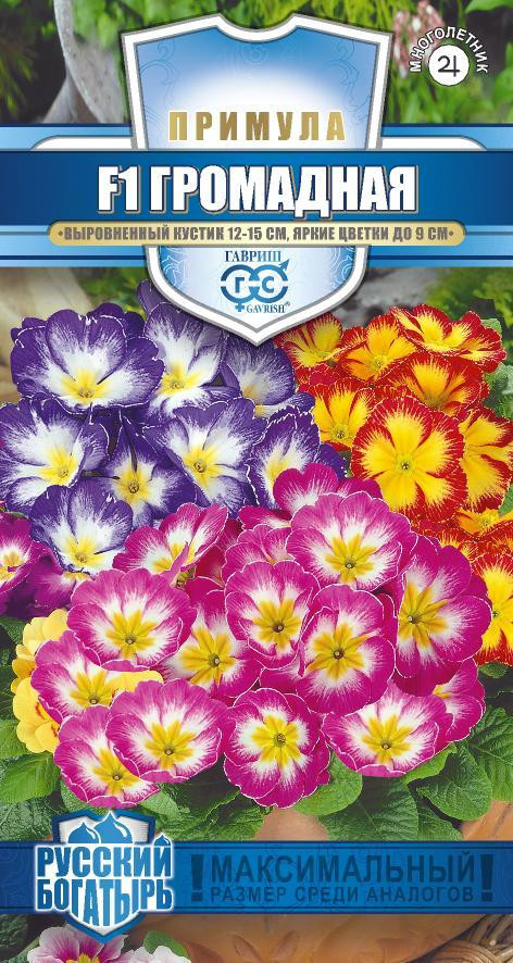 Семена. Примула «Громадная F1», смесь, 5 шт | Русский богатырь | Гавриш