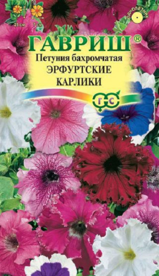 Петуния «Эрфуртские карлики», 10 шт