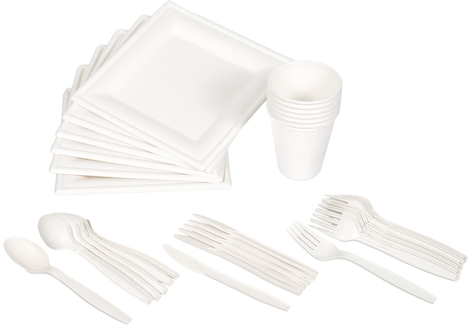 Набор для пикника БИОразлагаемый (30 предметов) | Boyscout