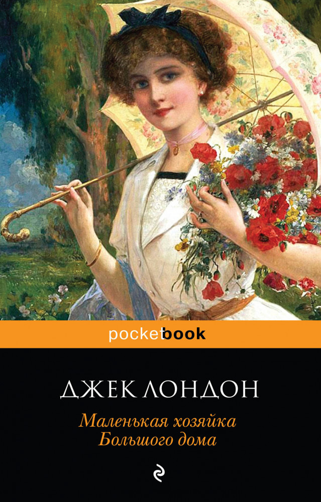 Маленькая хозяйка Большого дома | Pocket Book (обложка)