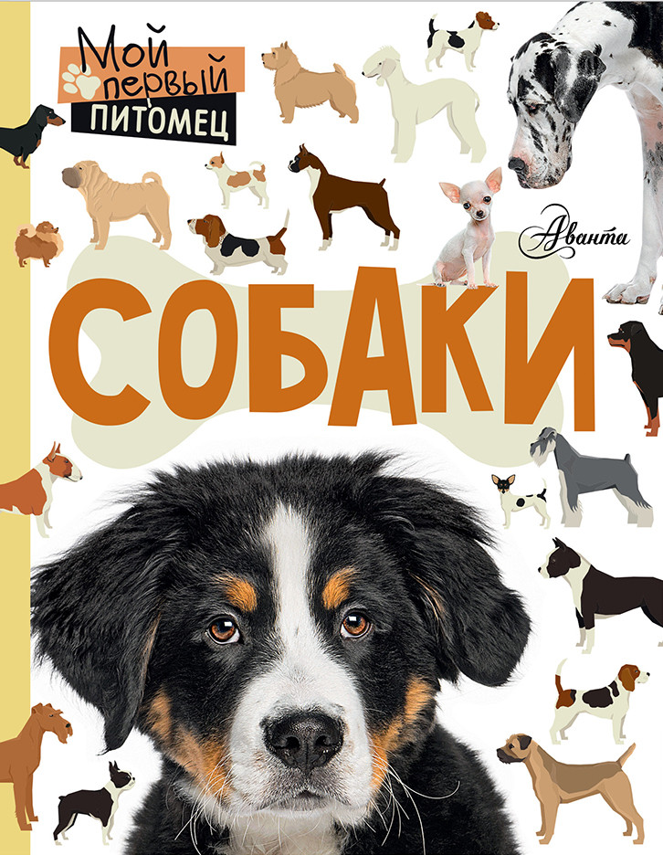 Собаки | Мой первый питомец