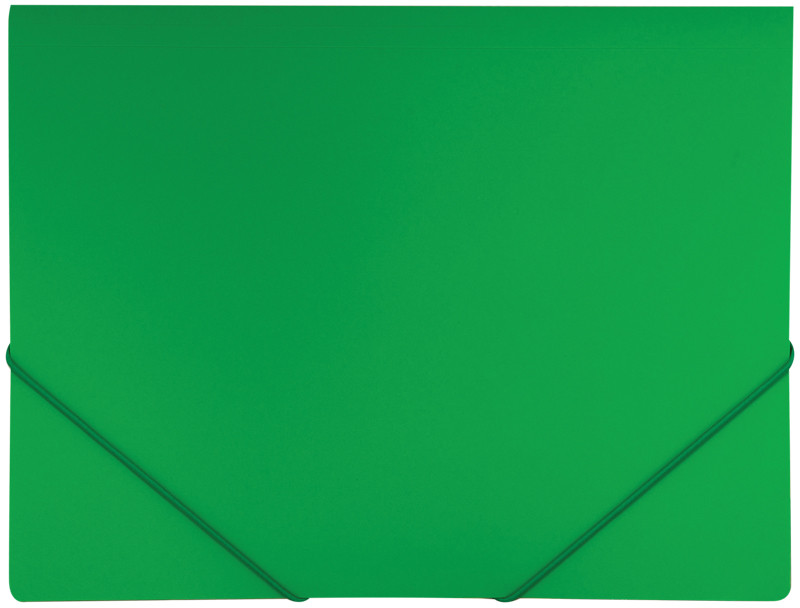 Папка на резинке (А4, 40 мм) | Standard | Berlingo