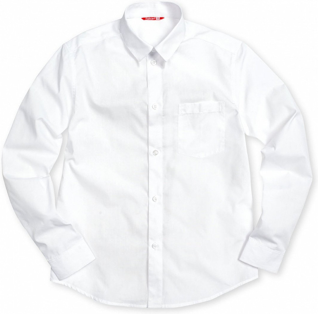 Рубашка для мальчиков | Школа | Pelican