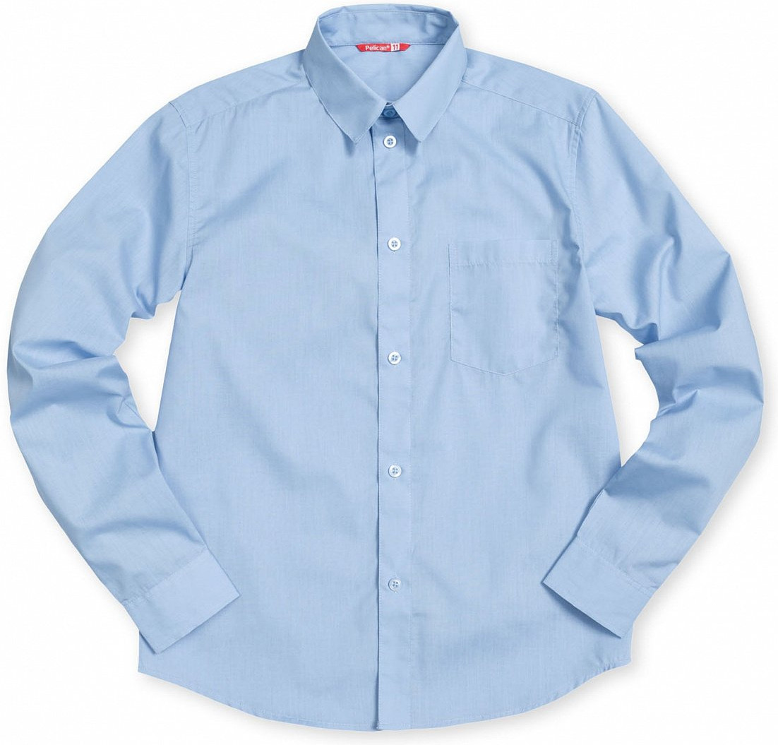 Рубашка для мальчиков | Школа | Pelican