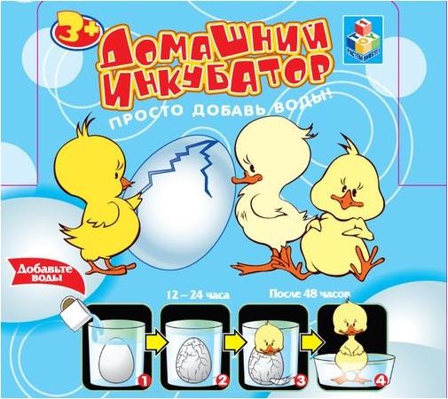 Домашний инкубатор. Птицы | Alisa