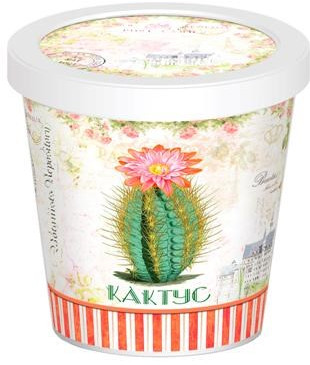Набор для выращивания растений «Кактус» | Rostok Visa