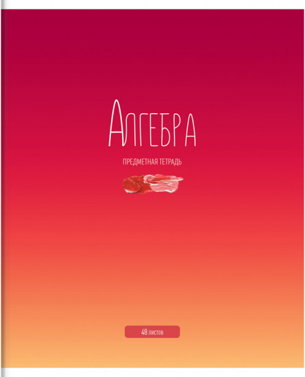 Тетрадь предметная «Алгебра»