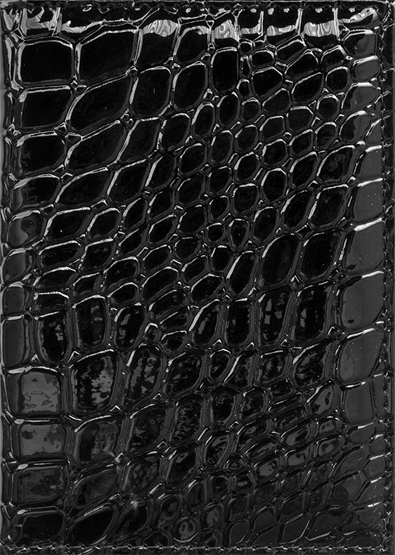 Обложка для паспорта | OfficeSpace