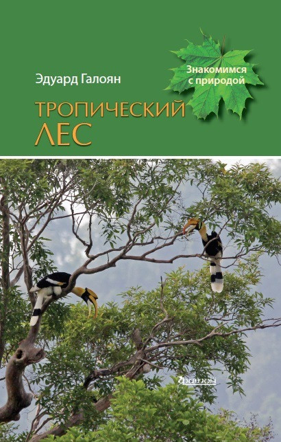 Тропический лес | Знакомимся с природой