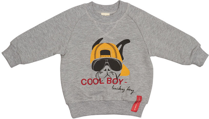 Толстовка для мальчиков | Крутой парень | Lucky Child