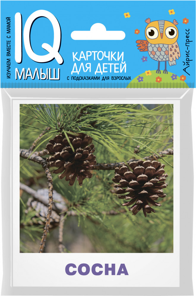 Умный малыш. Деревья | IQ малыш