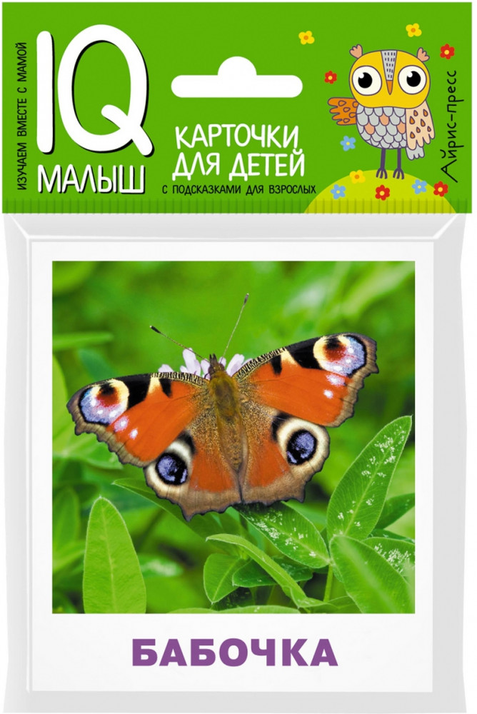 Умный малыш. Насекомые | IQ малыш