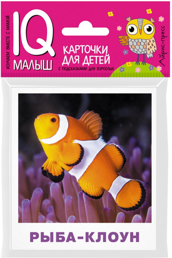 Умный малыш. Обитатели морей и океанов | IQ малыш