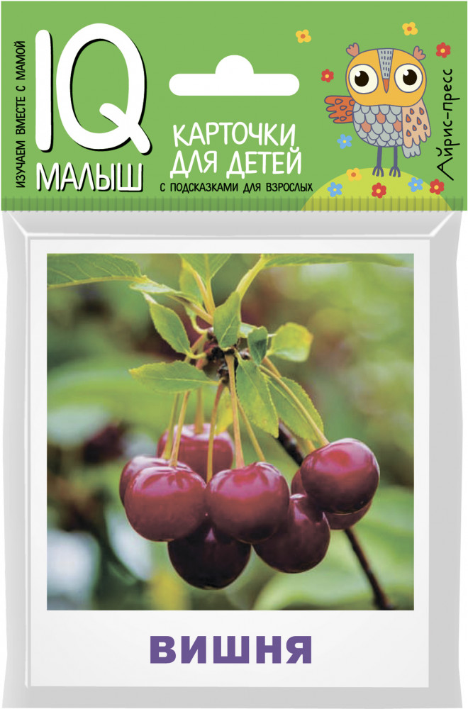 Умный малыш. Что растёт в саду? | IQ малыш