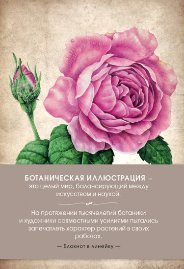 Блокнот. Ботаническая иллюстрация