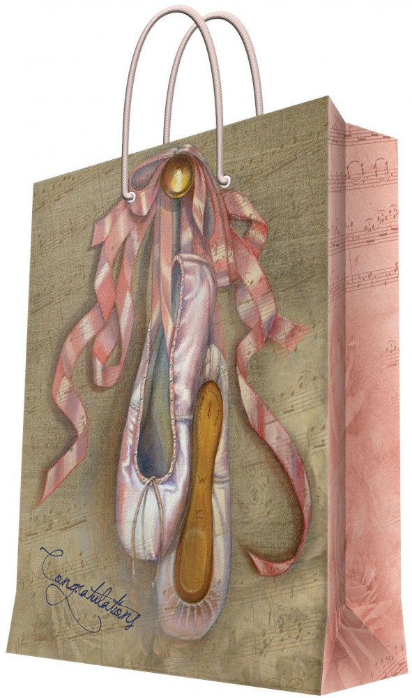 Пакет бумажный «Пуанты» | Magic Home