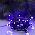 фиолетовый