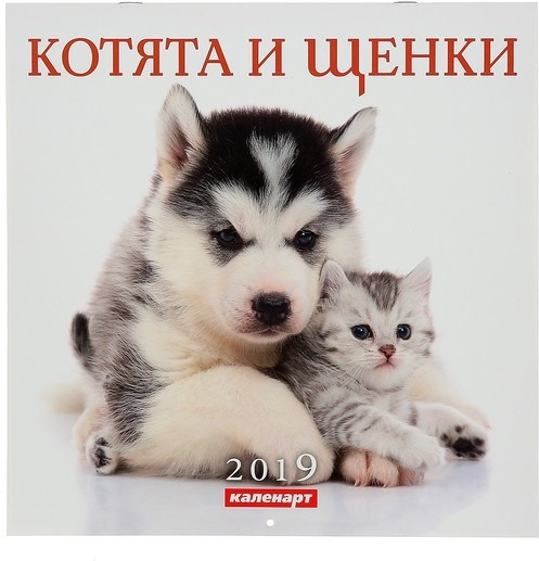 Календарь на скрепке «Котята и щенки» 2019 год