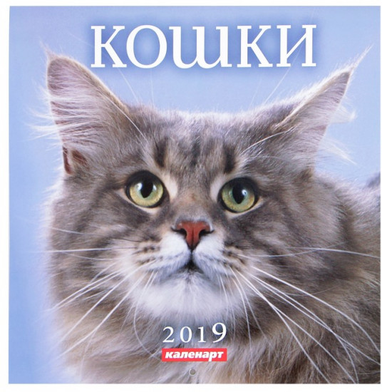 Календарь на скрепке «Кошки» 2019 год
