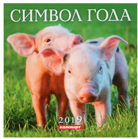 Календарь на скрепке «Символ года» 2019 год