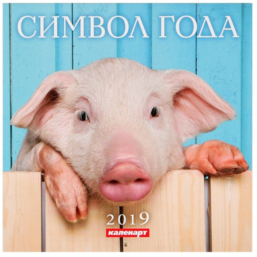 Календарь на скрепке «Символ года» 2019 год