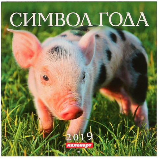 Календарь на скрепке «Символ года» 2019 год