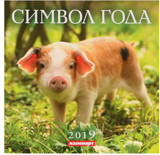 Календарь на скрепке «Символ года» 2019 год