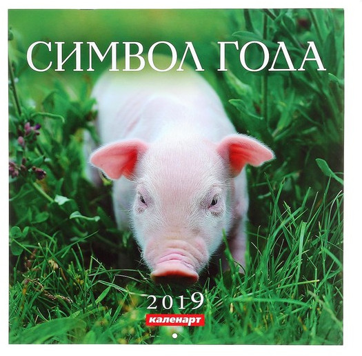 Календарь на скрепке «Символ года» 2019 год