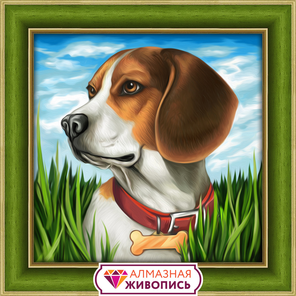 Алмазная мозаика «Бигль» | Алмазная живопись
