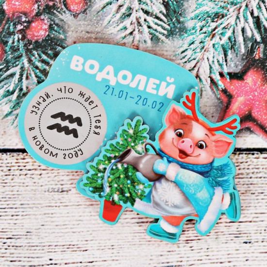Магнит-гороскоп со скретч-слоем «Водолей»