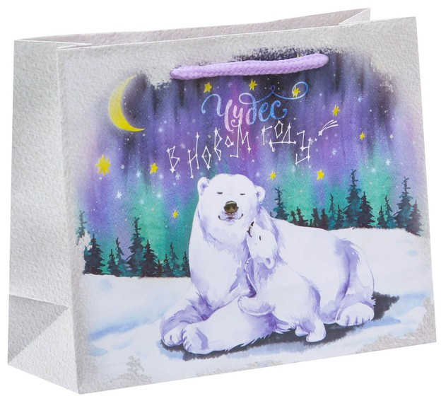 Пакет горизонтальный «Чудес в Новом Году!» | Ламинированные новогодние пакеты | Дарите Счастье