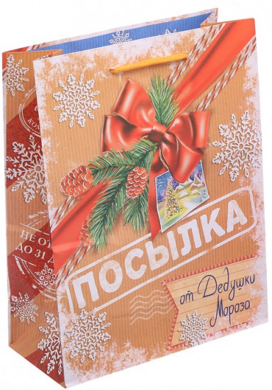 Пакет ламинированный вертикальный «Посылка от Дедушки Мороза»
